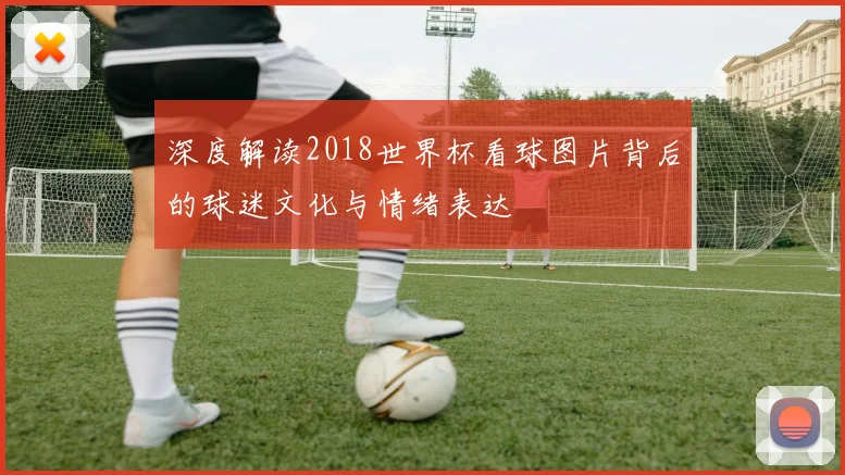 深度解读2018世界杯看球图片背后的球迷文化与情绪表达