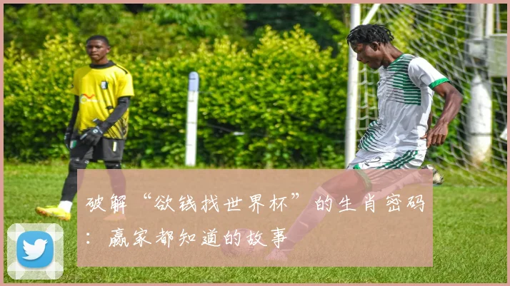 破解“欲钱找世界杯”的生肖密码:赢家都知道的故事