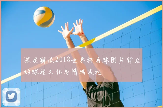 深度解读2018世界杯看球图片背后的球迷文化与情绪表达