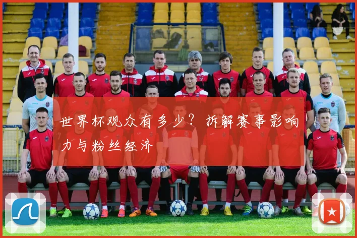 世界杯观众有多少？拆解赛事影响力与粉丝经济